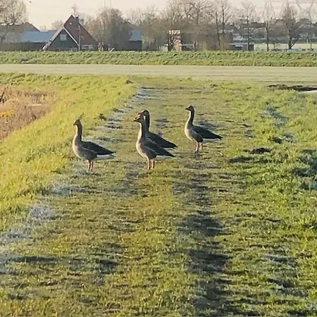 Apartment Ingeborgh Art